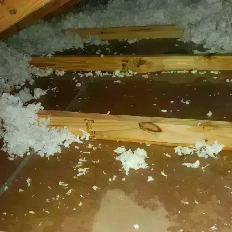 Attic Water Damage in North Eagle Butte, SD