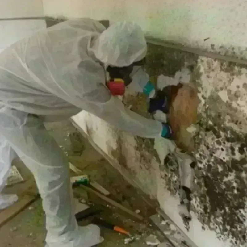 Best Mold Remediation and Removal Service in North Eagle Butte, SD